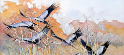 Wattled Cranes – Etosha | 1996 | Oil on Canvas